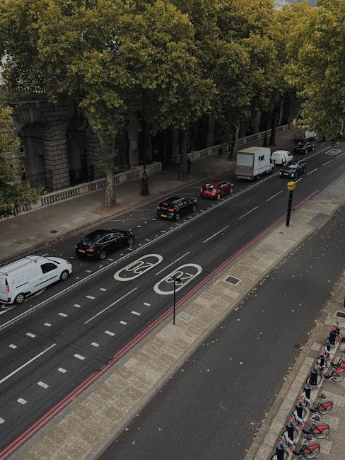 An elevated view of a busy urban street featuring a designated cycle lane marked with white bicycle symbols and dashed lines. Parked vehicles, including a white van, a black car, a red car, and a white truck, are aligned along the curb on the road. The street is bordered by a paved sidewalk with some red and black bicycles parked in a designated bike rack area. Tall, leafy trees line the opposite side of the street, partially obscuring an ornate stone building with arched entranceways. Streetlights and roadway markings are visible, with red bus lane markings running parallel to the cycle lane. Overcast lighting creates soft shadows, indicating daytime conditions. The scene captures the typical city environment where careful loading, packing, and furniture transport are part of house removals, as services like Man with Van Temple operate efficiently within such urban settings.
