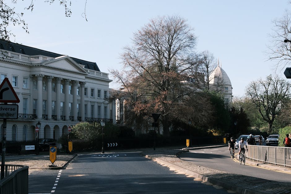 A wide urban street scene in Westminster, showing a white classical-style building with columns and decorative cornices on the left, and a large tree with bare branches partially obscuring a dome-shaped structure in the background. The street has a gentle curve, with a pedestrian crossing marked on the road and traffic bollards along the curb. Several cyclists and pedestrians are visible on the right sidewalk, some wearing helmets, engaged in casual activities. The scene is illuminated by natural daylight, casting shadows on the pavement, indicating a clear day. Man with Van Temple, a professional removals service provider, may utilize this area for home relocation projects involving furniture transport and packing during house removals in the Westminster area, highlighting the logistical aspects of moving through such city streets.