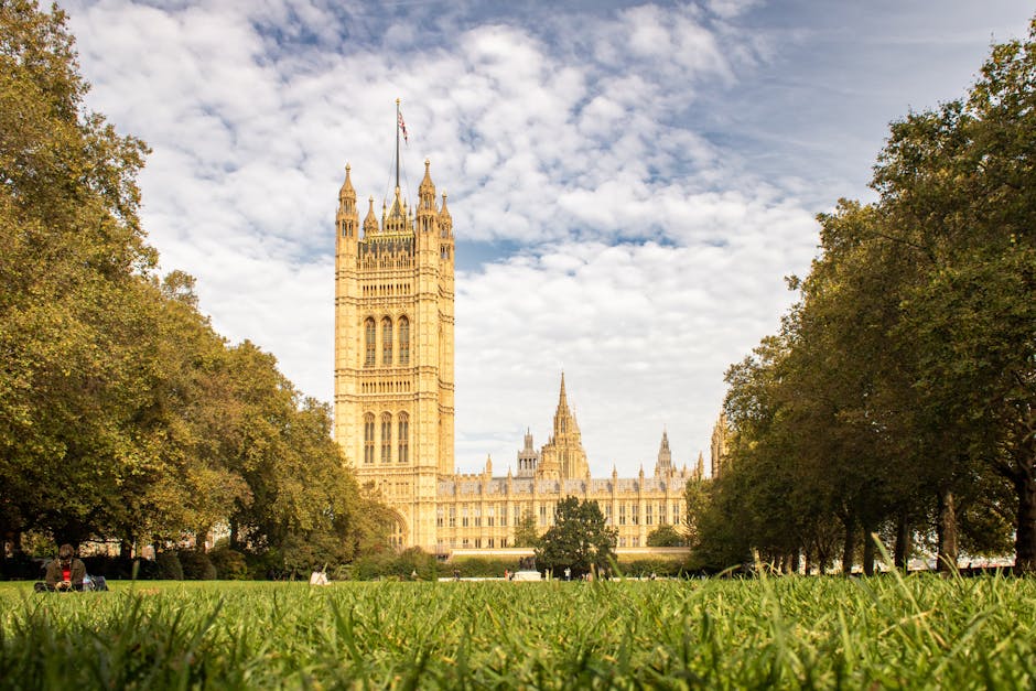 A wide-angle view of the Palace of Westminster in London, featuring the prominent Elizabeth Tower with its clock face visible at the top. The historic Gothic-style building is partially obscured by tall, leafy trees on both sides of a grassy park area in the foreground, where a few individuals are sitting or walking. The scene is captured during daylight with a partly cloudy sky overhead. The setting suggests an outdoor environment adjacent to a busy central London location, relevant to house removals and moving logistics, as evidenced by the open space used for loading or temporary parking near the iconic architectural landmark, which is often associated with transportation and moving services in Westminster.